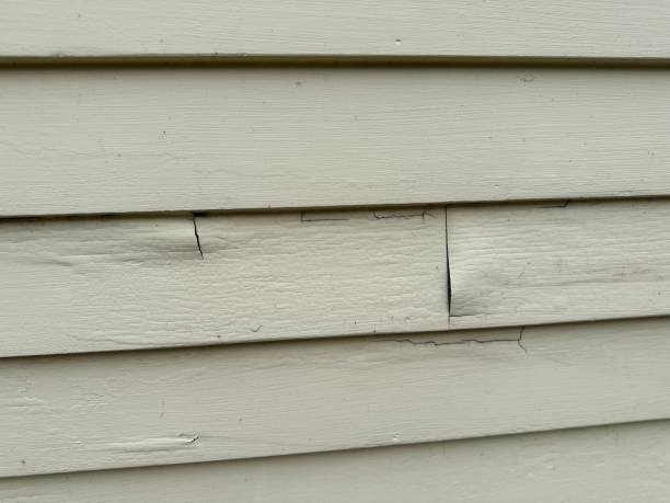 Affordable siding repair and maintenance services in Stuart, VA